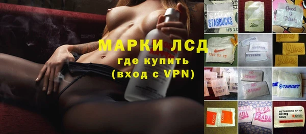 гидропоника Вяземский
