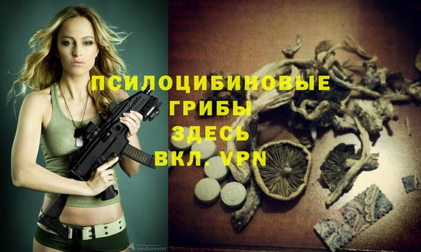 ECSTASY Вязьма