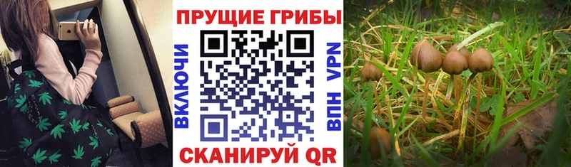 MEGA зеркало  Жуковка  Галлюциногенные грибы прущие грибы 